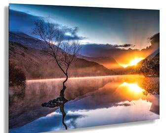 Lone Tree Sunrise, Llanberis Wales, 1st Place Award Winner. Master Of Photography
