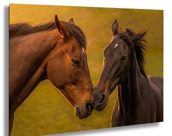 Golden Hour Horses Wall Art Sunset Equine Photography Print Two Horses Nuzzling Equestrian Gift