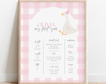 Un poster di traguardo di compleanno di Silly Goose per ragazza, statistiche del primo compleanno modificabili, cartello, idee per decorazioni per feste di compleanno a tema Silly Goose, rosa