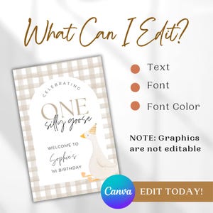 May include: A printable birthday party sign with a white goose wearing a party hat. The sign has a brown and white gingham background and says "Celebrating One Silly Goose" and "Welcome to Sophie's 1st Birthday".