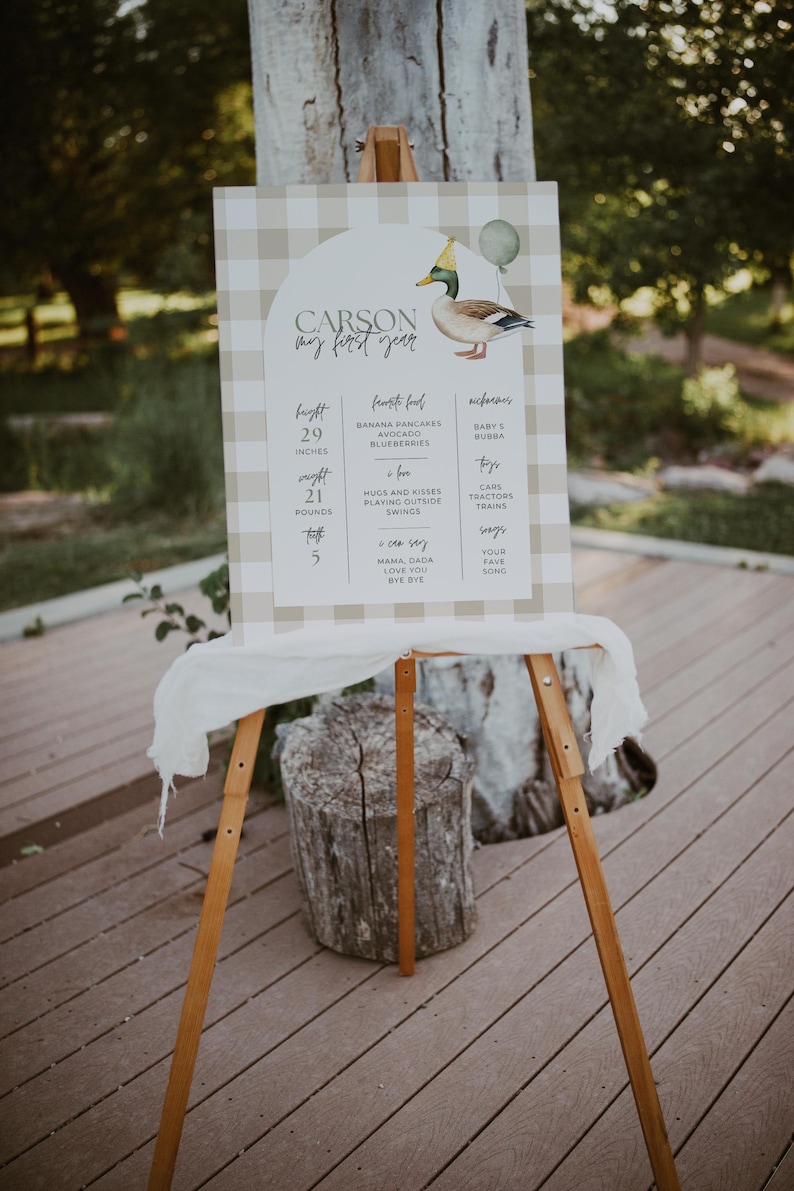 May include: A brown and white gingham sign with a duck illustration and the text "CARSON my first year". The sign lists the child's height, weight, and other milestones, including favourite foods, nicknames, and toys.