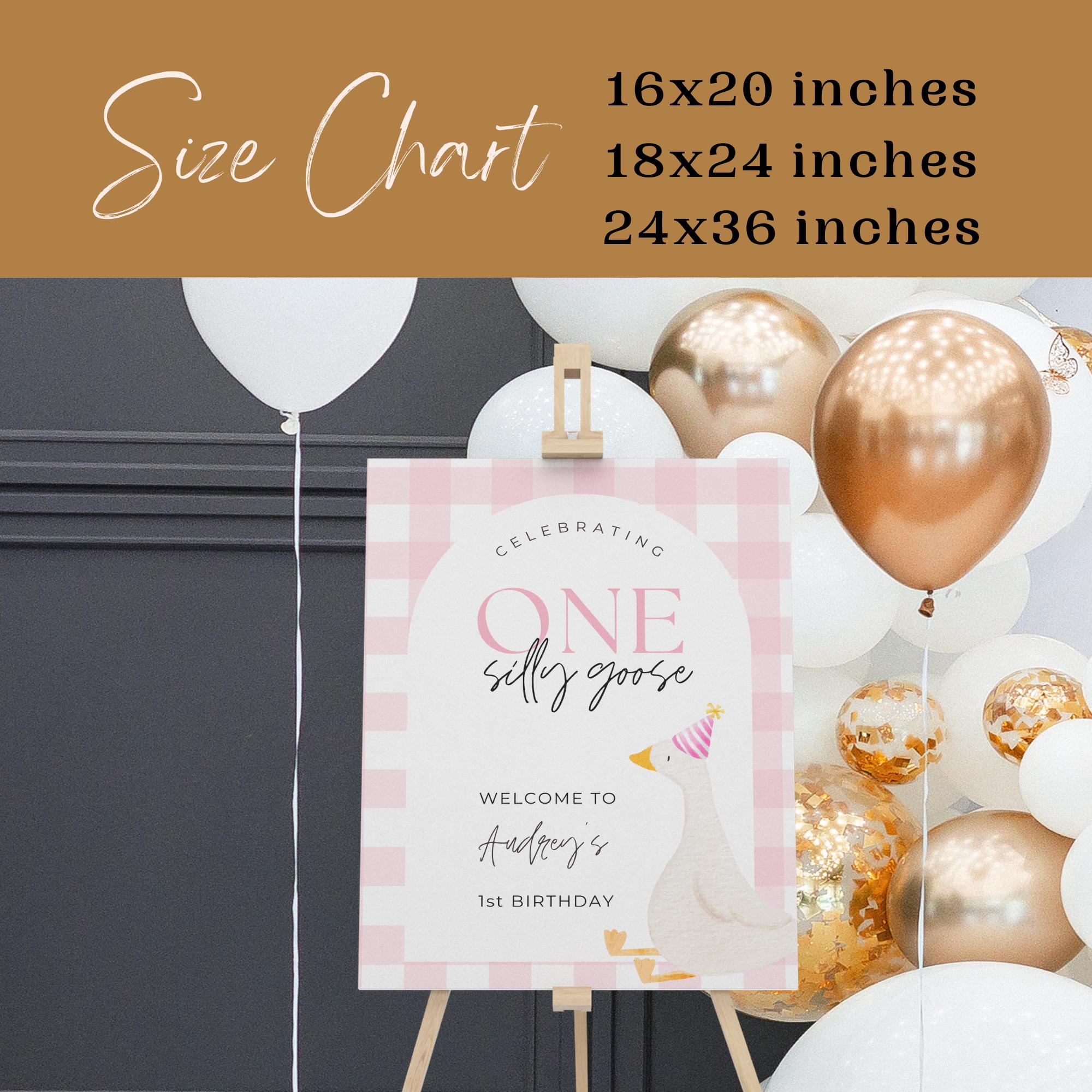 Eine Dummergans Geburtstagsdeko Fu00fcr Mu00e4dchen Produktbild-Vorschau 3