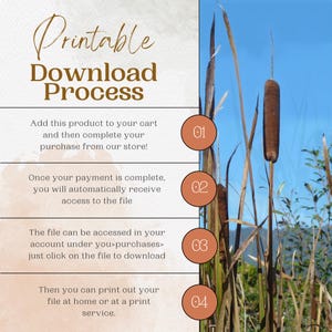 May include: A printable download process infographic with four steps. The steps are numbered 1 through 4 and are outlined in a light brown circle. The background is a light brown watercolor wash with a blue sky and tall brown reeds in the background.