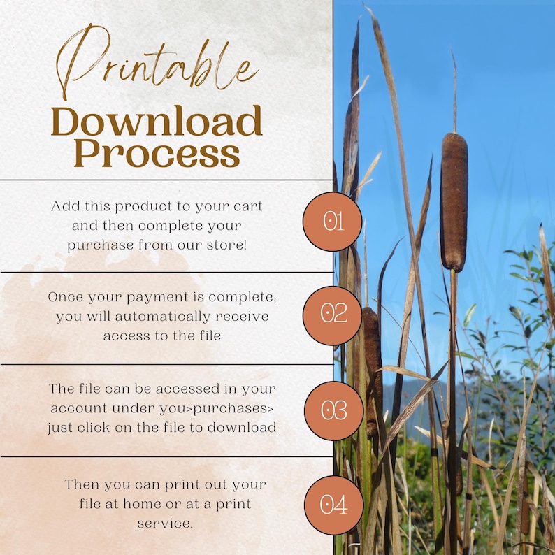 May include: A printable download process infographic with four steps. The steps are numbered 1 through 4 and are outlined in a light brown circle. The background is a light brown watercolor wash with a blue sky and tall brown reeds in the background.