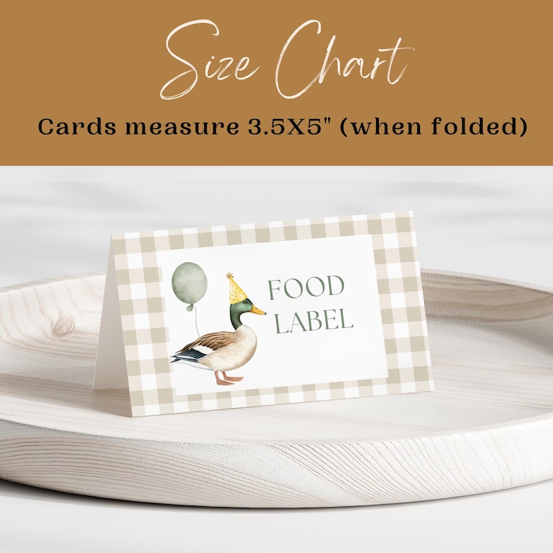 Peut inclure: Un mod&egrave;le d'&eacute;tiquette alimentaire avec un canard de dessin anim&eacute; portant un chapeau de f&ecirc;te et tenant un ballon. L'&eacute;tiquette est imprim&eacute;e sur un fond vichy beige et blanc. Le texte "FOOD LABEL" est imprim&eacute; en noir sur un rectangle vert. L'&eacute;tiquette mesure 3,5x5 pouces une fois pli&eacute;e.
