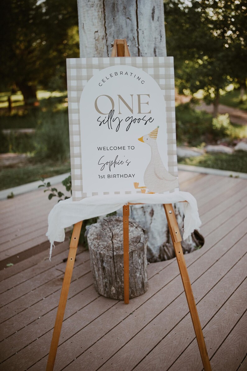 One silly goose birthday decor
