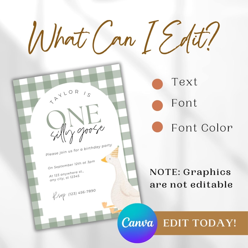 May include: A green and white gingham patterned invitation with a watercolor illustration of a goose wearing a party hat. The text reads "Taylor is One Silly Goose" and includes details for a birthday party.