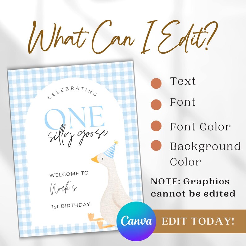 May include: A blue and white gingham background with a white circle containing the text "Celebrating One Silly Goose".  The text "Welcome to Noah's 1st Birthday" is below the circle.  A cartoon goose wearing a party hat is to the right of the circle.  The text "Text, Font, Font Color, Background Color" is listed with a colored circle next to each item.  The text "NOTE: Graphics cannot be edited" is below the list.  The text "Canva EDIT TODAY!" is at the bottom of the image.