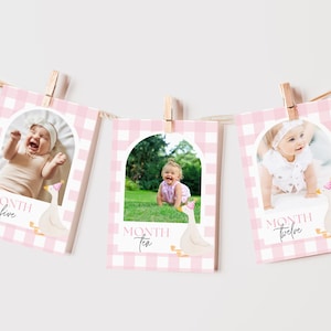 Könnte beinhalten: Ein rosa-weißes Gingham-Baby-Monatsfoto-Banner mit drei Bildern eines kleinen Mädchens. Das Banner hat auf jeder Karte eine weiße Gans mit einem rosa Partyhut. Der Text auf den Karten lautet "Monat fünf", "Monat zehn" und "Monat zwölf".