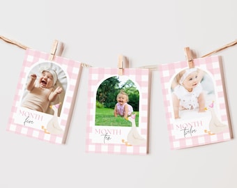 Editable One Silly Goose Birthday Photo Banner Pink Goose 1st Birthday Decor Monthly Photo Banner Silly Goose Theme First Year Banner Girl