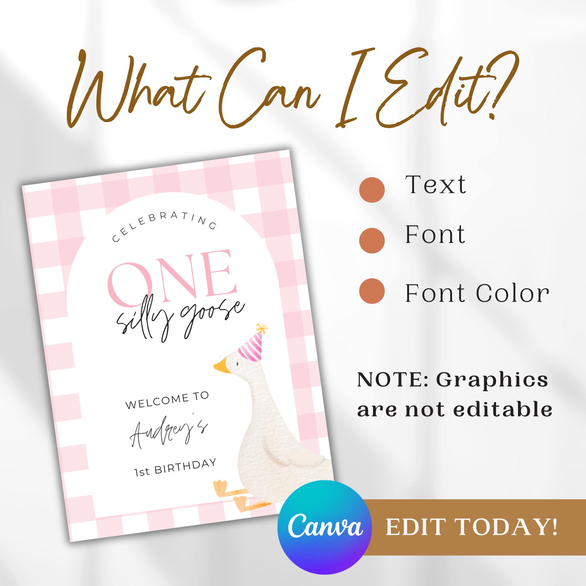 Eine Dummergans Geburtstagsdeko Fu00fcr Mu00e4dchen Produktbild-Vorschau 6