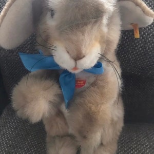 Könnte beinhalten: Ein grauer Plüschhase mit einem blauen Band um den Hals. Der Hase hat ein weißes Gesicht und lange Schnurrhaare. Der Hase sitzt auf einer grauen Stoffoberfläche. Der Hase hat ein kleines Etikett am Ohr, auf dem "Steiff" steht.