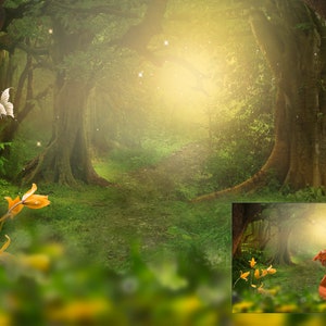 Digital portrait backgrounds that you can place your subject in Enchanted forest composite Portrait background photoshop creation
