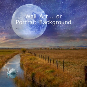 Beautiful digital background photography background for photographers Photoshop background composite art Photo backgrounds swan