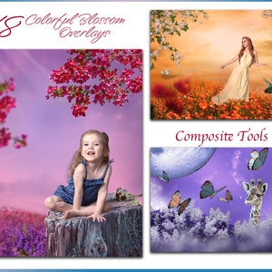 Blossom overlays for the creative digital artist photoshop tools for composite creation portrait photographers will love using overlays