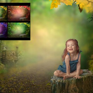 4 Forest Backgrounds Digital Photography backgrounds Portrait Backgrounds for photographer Use enchanted backgrounds for your composite