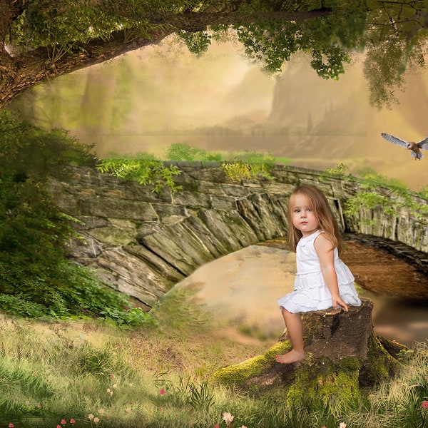 Enchanted Forest background idea Digital Composite background for photographer Photoshop in your own toddler in minutes Enchanted Forest