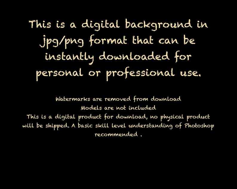 Enchanted Forest Fairy Throne in Magical Garden Digital Photography