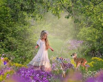 Summer Forest Background for photographers to add their subjects Digital background Composite creation idea outdoor background creation