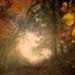 70 Autumn Photo Overlays With Two Digital Backgrounds Included, Autumn ...