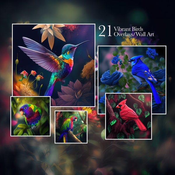 Beautiful digital backgrounds overlays of colorful birds Fine art creations Photography backgrounds composite photoshop illustration