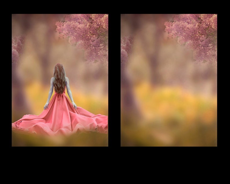 6 Spring/summer Backgrounds - Digital Backgrounds for Photographer to ...