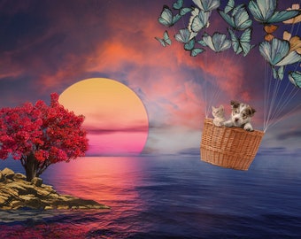 Fantasy Photo Digital Background Creations Create fantasy illustration  add your subject to Background Perfect Gift instant download