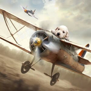 Digital Backgrounds Pets Wall Art Pet Photoshop Composite, Place Your