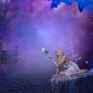 Fairy and Enchanted Forest Background Digital Portrait Background Fantasy Forest Background Composite Art Background Photoshop Art