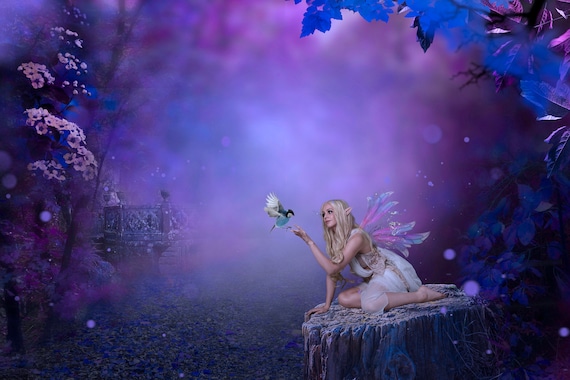 Fairy and Enchanted Forest Background Digital Portrait Background