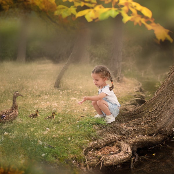 Digital Photography BackgroundsToddlers duck pond background composite Gift for mom photoshop composite portrait background photographers