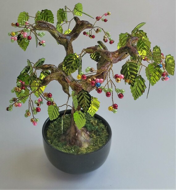 ginkgo bonsai center Ginkgo Bonsai Tree  Lovehopegrow