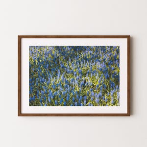 Poster Fleurs à Keukenhof aux Pays-Bas | Affiche fleurie | décoration de salon | Art mural hollandais | affiche du marché aux fleurs | Cadeau pour les Pays-Bas
