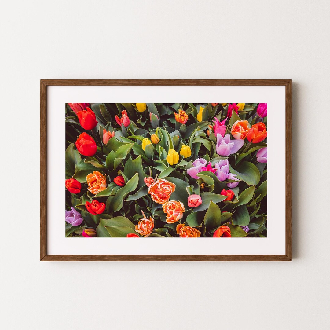 Tulips in Amsterdam Poster | Floral Wall Art | Tulip Painting | Flower ...