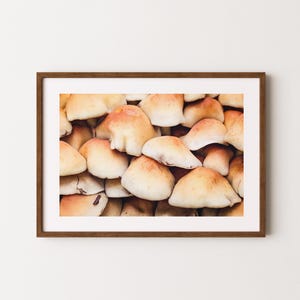 Pilze im Wald Poster | Pilz Wandbild | Pilz Dekor | Wald Druck | Pilz Kunst | Wald Wand Kunst | Landschaftsposter