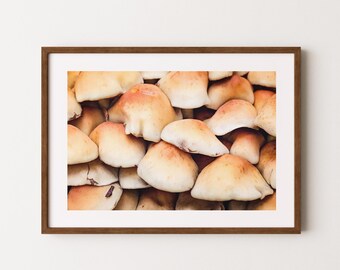 Mushrooms in the forest poster | Mushroom wall art | mushroom decor | forest print | mushroom art | forest wall art | landscape poster