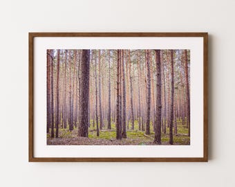 Landscape art forest poster | forest photograph | forest wall art | nature poster | nursery wall decor | minimalist wall art | art prints