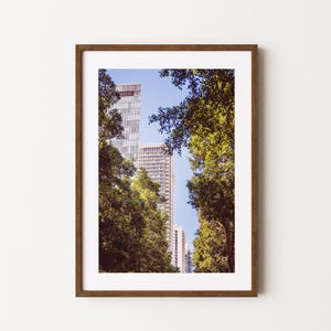 Rothschild Boulevard in Tel Aviv poster | Israel poster | travel print | Boho wall art | photography prints | Boho wall art | fine art print