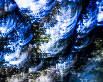 Impresiones de fotografías e lienzos abstractos e impresionistas del hermoso entorno y paisaje de Florida / Decoración de la naturaleza de Florida / Arte de pared de Florida