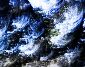 Impresiones de fotografías e lienzos abstractos e impresionistas del hermoso entorno y paisaje de Florida / Decoración de la naturaleza de Florida / Arte de pared de Florida