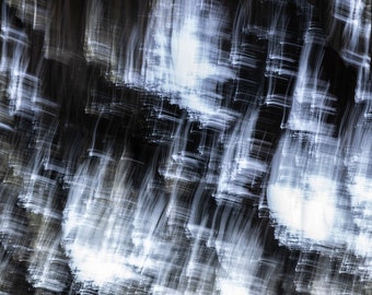 Impresiones en lienzo y fotografías abstractas e impresionistas del hermoso entorno y paisaje de Florida / Decoración natural de Florida / Arte mural de Florida