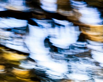 Impresiones en lienzo y fotografías abstractas e impresionistas del hermoso entorno y paisaje de Florida / Decoración natural de Florida / Arte mural de Florida