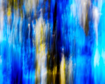 Foto abstracta, impresiones en lienzo de árboles y cielo en la hermosa pradera Paynes de Florida / Decoración del hogar / Arte de la pared de Florida / Impresionismo fotográfico