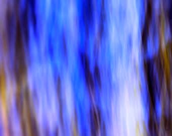 Foto abstracta, impresiones en lienzo de árboles en Paynes Prairie de Florida / Decoración de la naturaleza de Florida / Impresionante arte mural de Florida / Impresionismo fotográfico