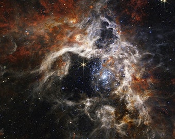 Lienzo del Telescopio Espacial James Web o Impresión fotográfica de la Nebulosa Tarántula / Arte Espacial y Astronómico para Oficina y Hogar / Arte del Universo