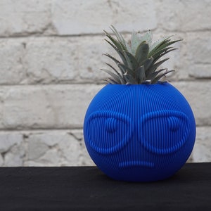 May include: A blue ceramic planter shaped like a face with a sad expression. The planter has a small green plant growing out of the top.