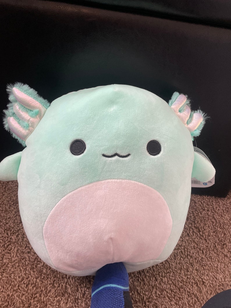 anastasia axolotl