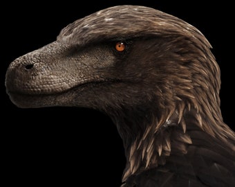 Utahraptor