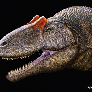 Allosaurus