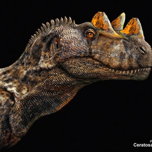 Ceratosaurus